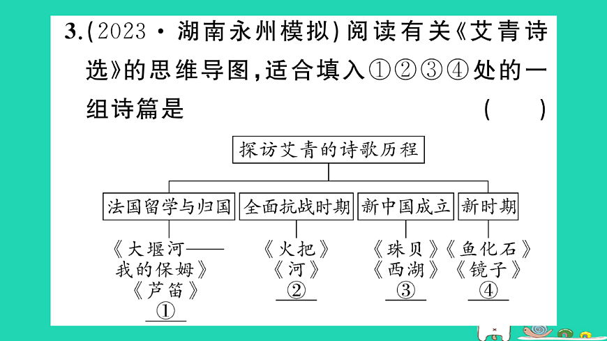 17304518第5页
