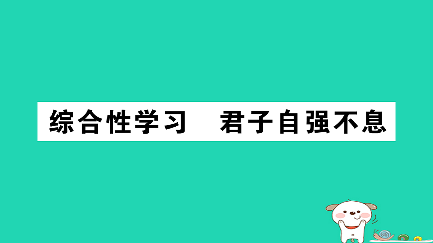17304529第1页