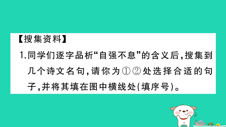 17304529第3页