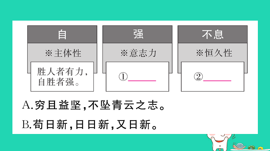 17304529第4页