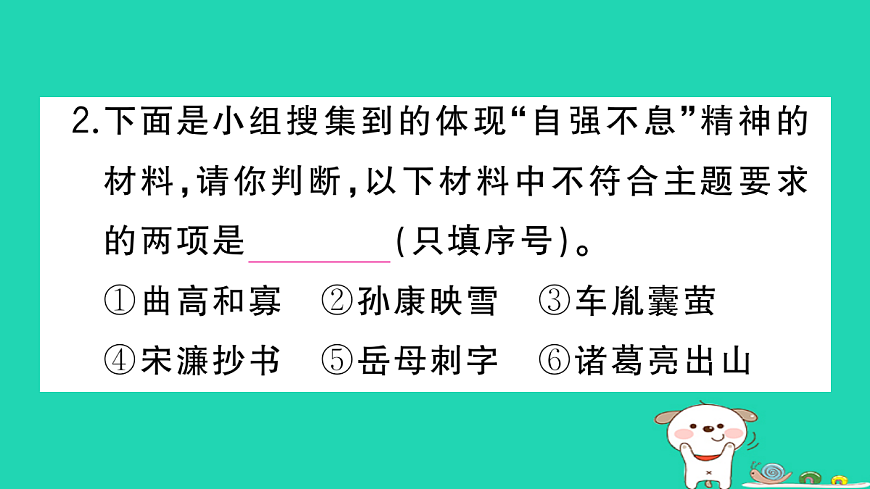 17304529第5页