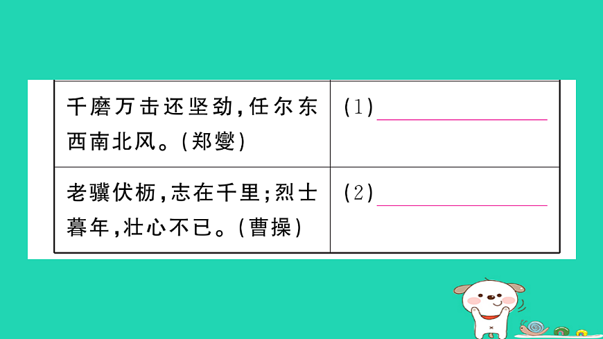 17304529第7页