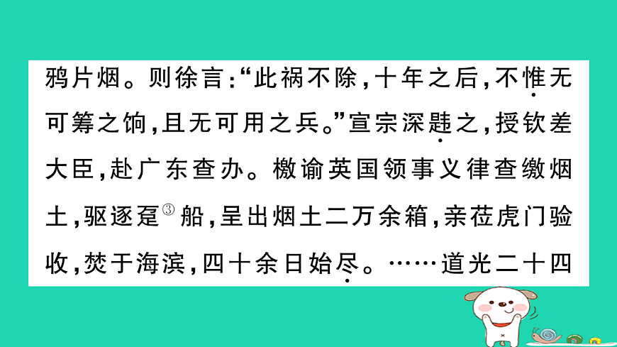 17304541第7页