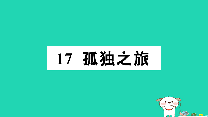 17304544第1页