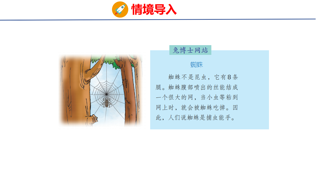17305176第3页