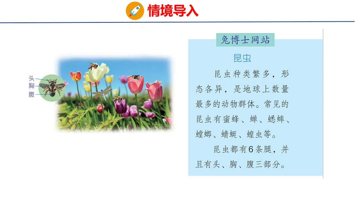 17305213第3页