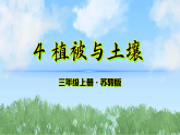 4《植被与土壤》（课件）2025-2026学年科学三年级上册（苏教版2024）