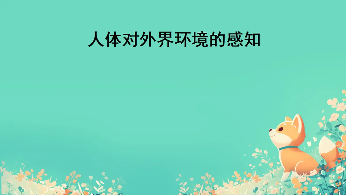 17305917第1页