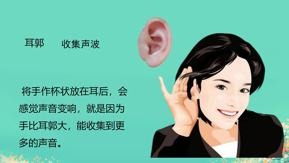 17305917第5页