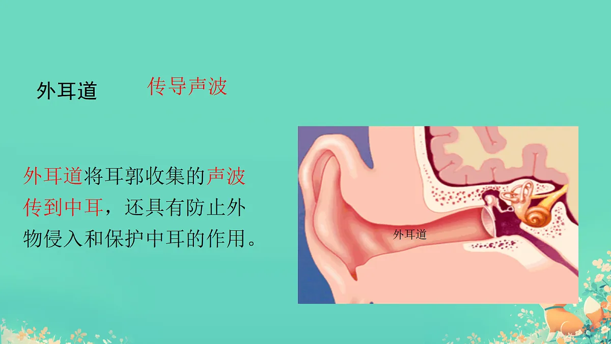 17305917第6页
