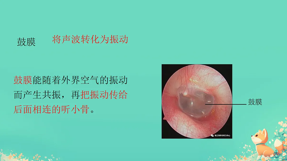 17305917第7页