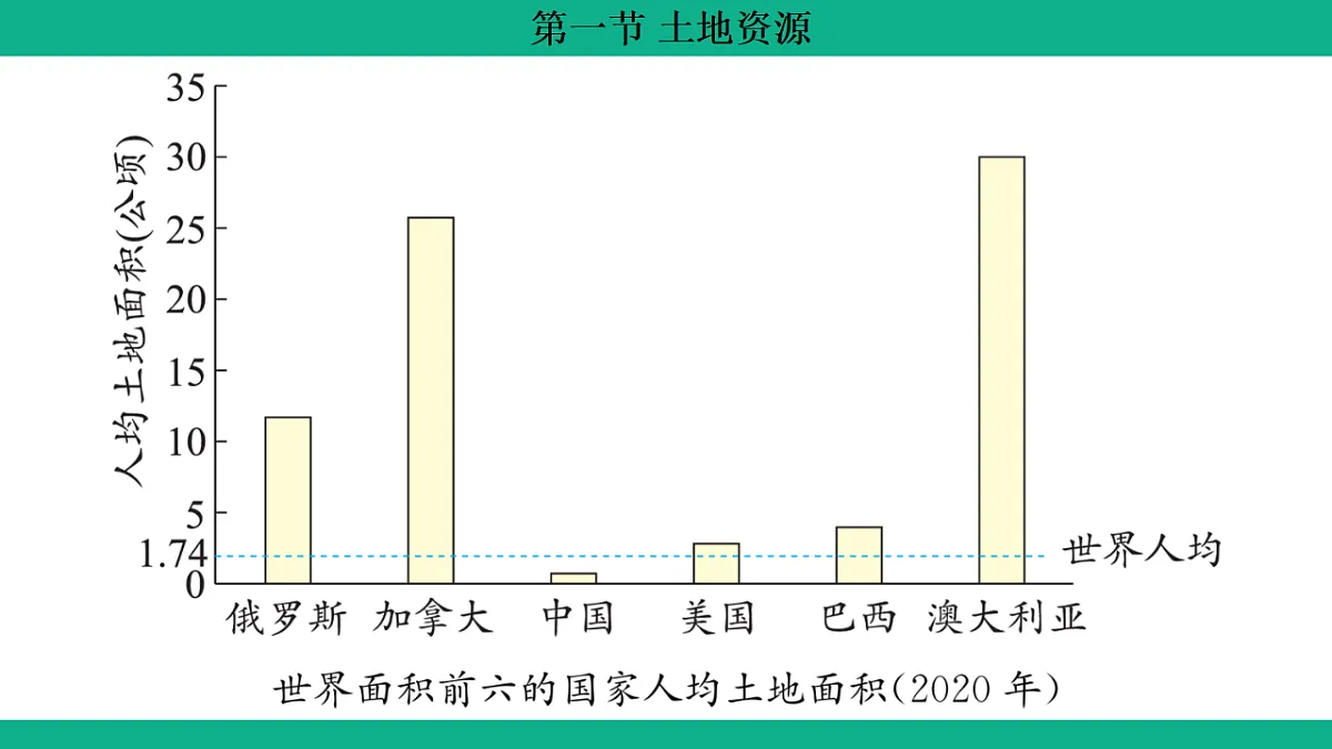 17306196第4页