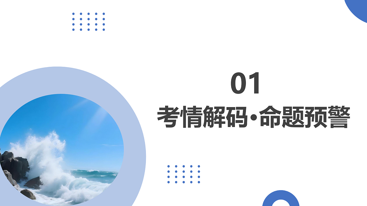 17306757第3页