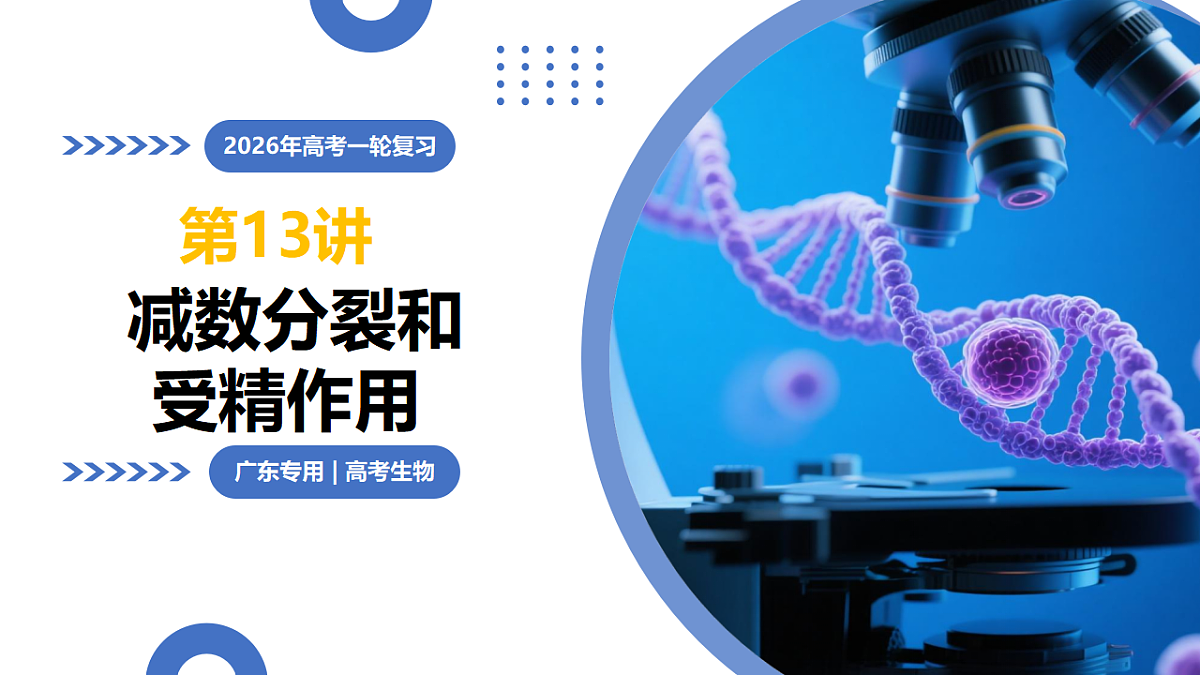 17306813第1页