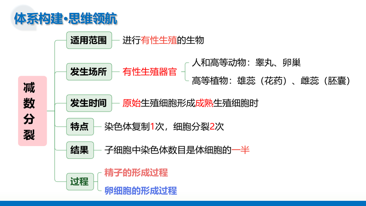 17306813第6页