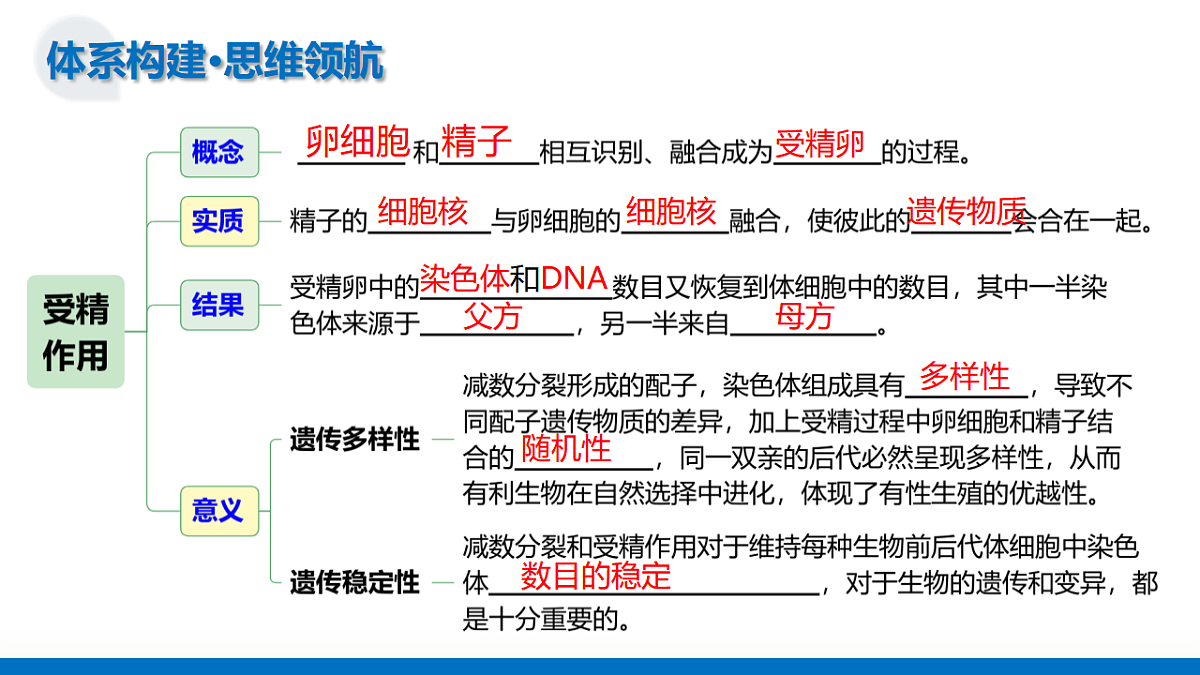 17306813第7页