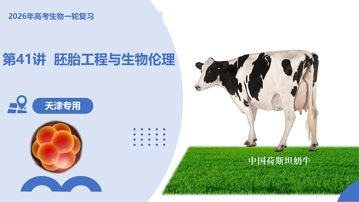 17306840第1页