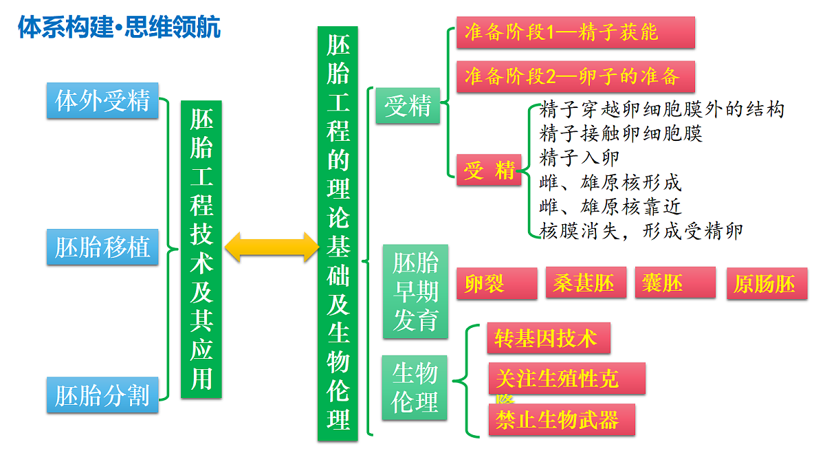 17306840第7页