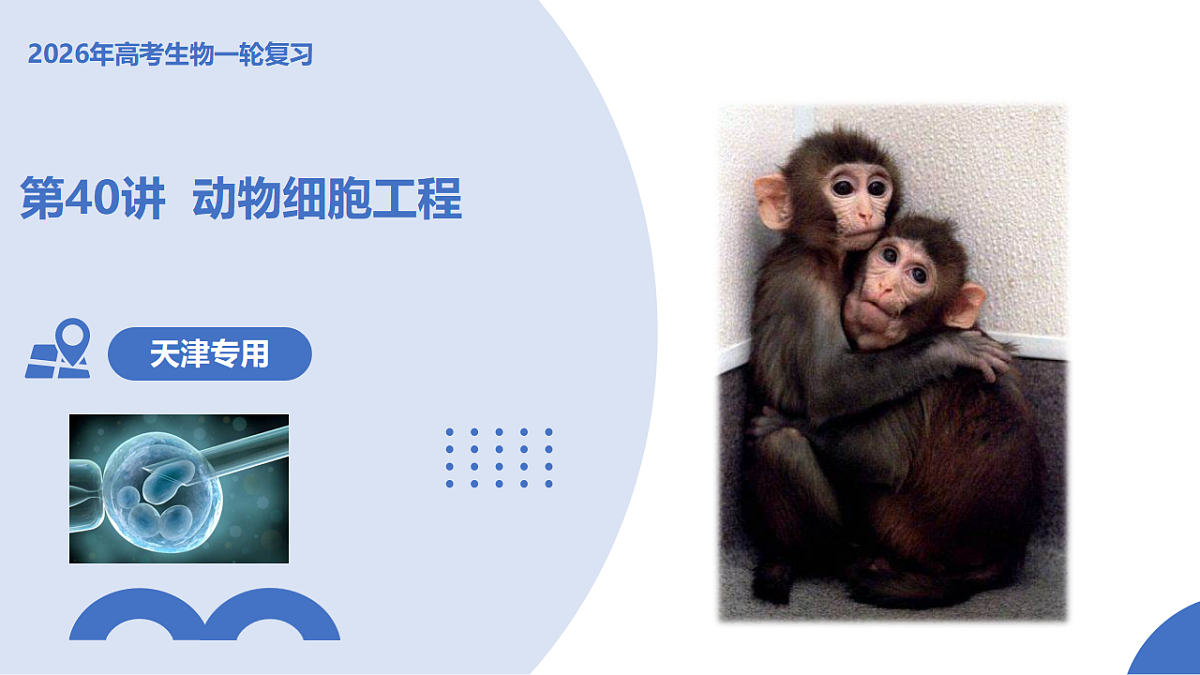 17306841第1页