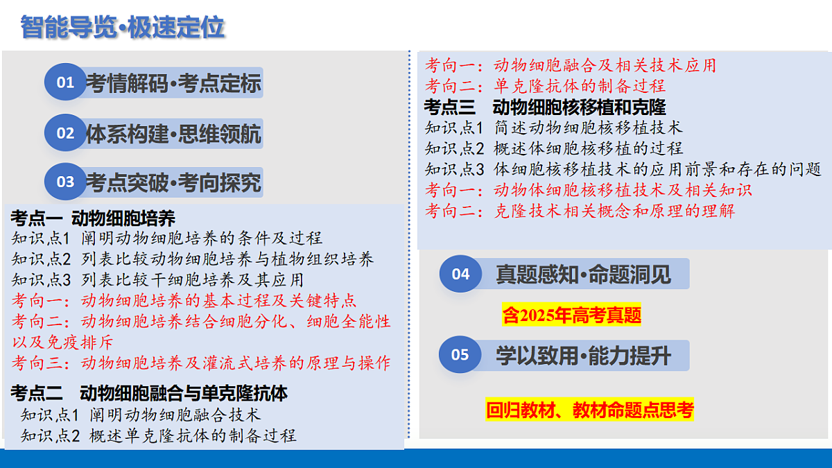 17306841第2页