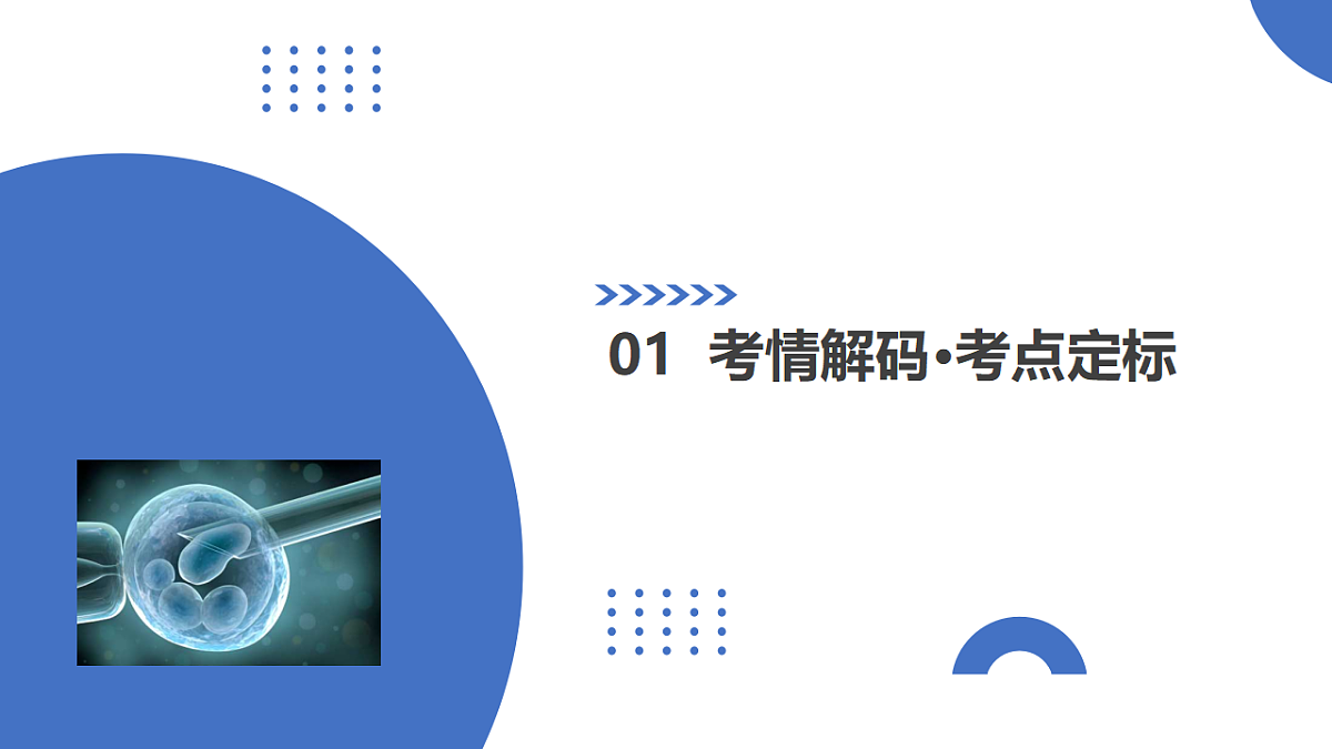 17306841第3页