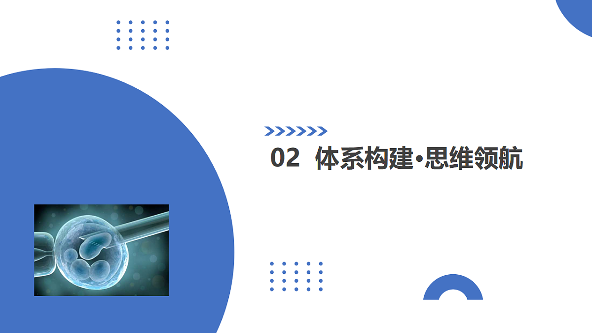 17306841第6页
