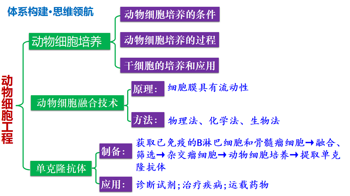 17306841第7页