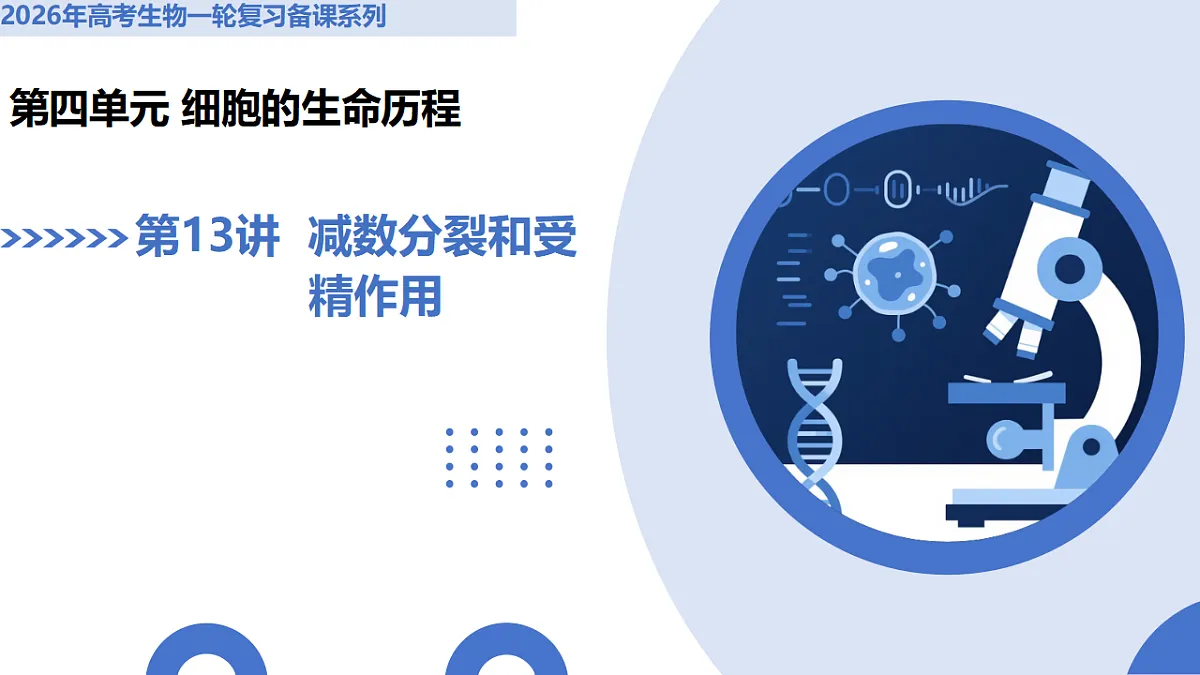 17306847第1页