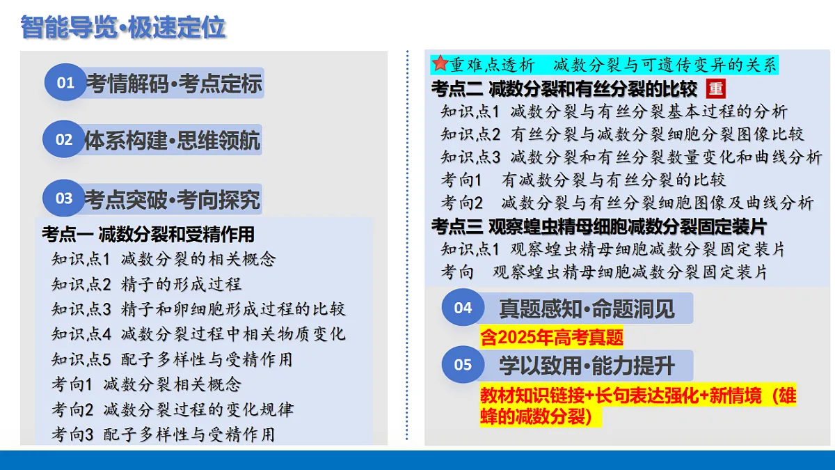 17306847第2页