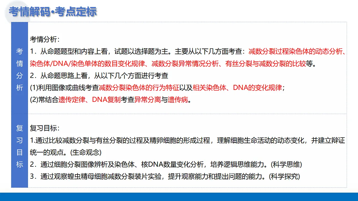 17306847第5页