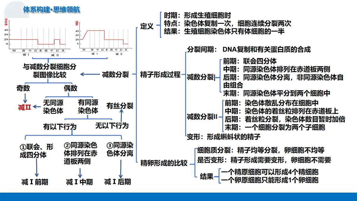17306847第7页