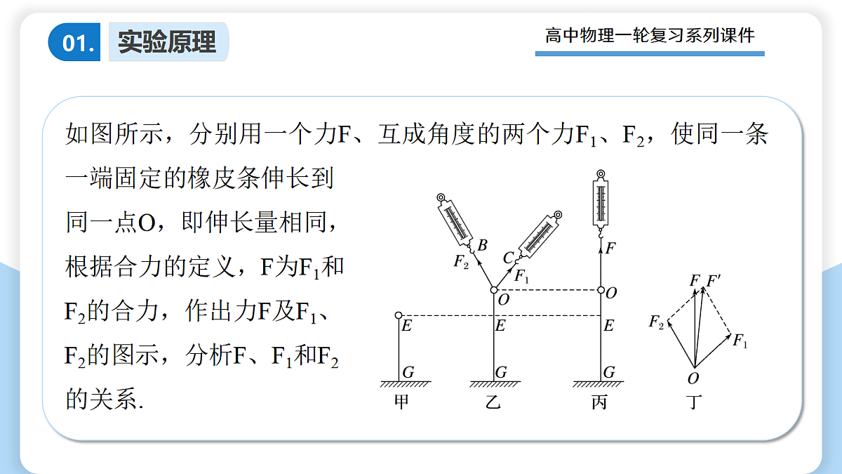 17306879第4页