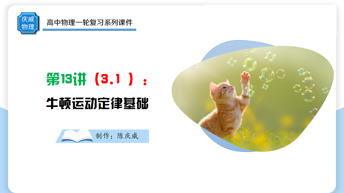 17306880第3页