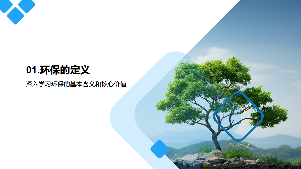 17306995第3页