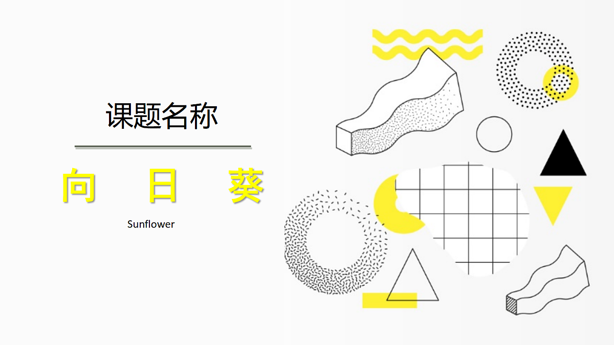17306999第1页