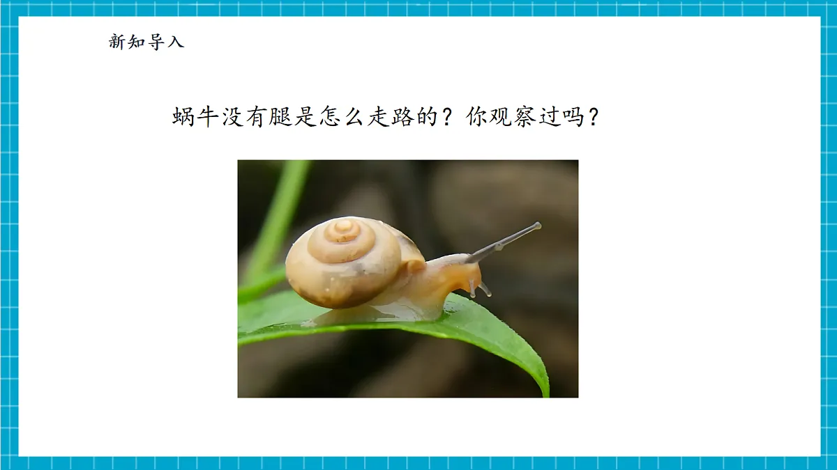 【大单元整体教学】1.1《小小科学家》课时课件第5页