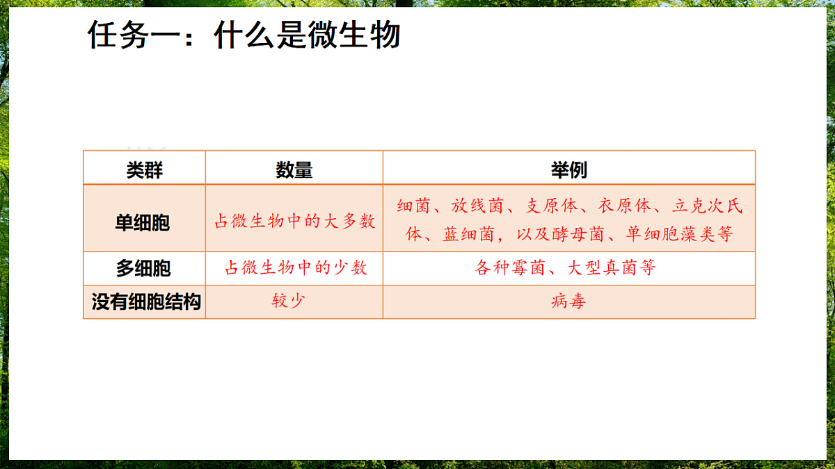 17307124第4页