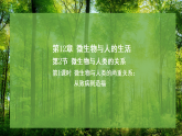 12.2 微生物与人类的关系 第1课时 （课件）-2025--2026学年北师版（2024）生物八年级上册