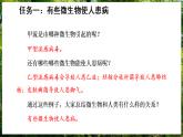 12.2 微生物与人类的关系 第1课时 （课件）-2025--2026学年北师版（2024）生物八年级上册