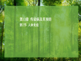 13.2 人体免疫（课件）-2025--2026学年北师版（2024）生物八年级上册