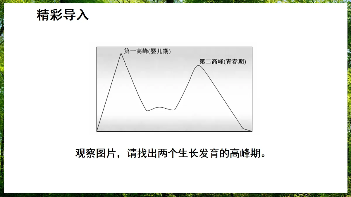 17307136第2页