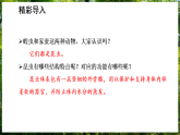 15.2 动物的生殖和发育 第1课时 （课件）-2025--2026学年北师版（2024）生物八年级上册