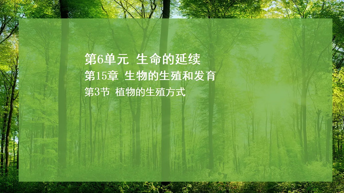 17307140第1页