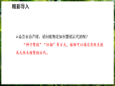 15.3 植物的生殖方式（课件）-2025--2026学年北师版（2024）生物八年级上册