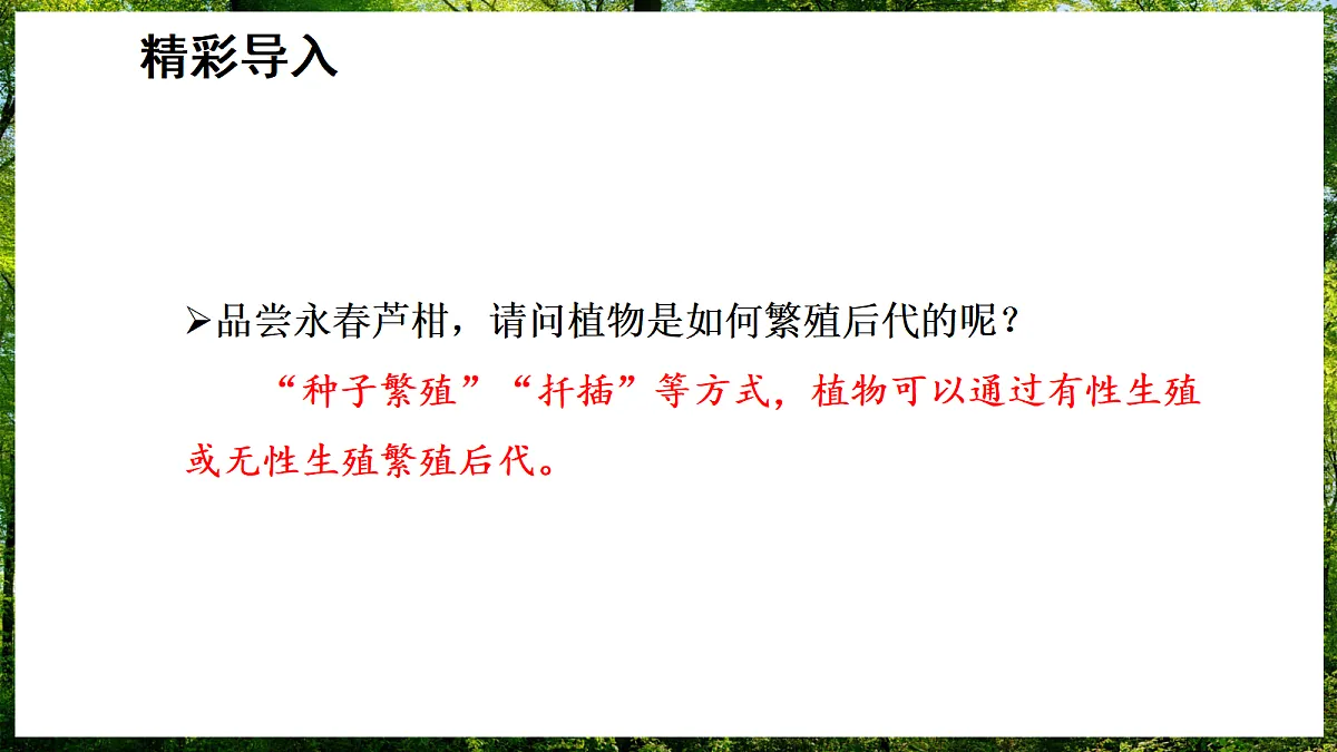 17307140第2页