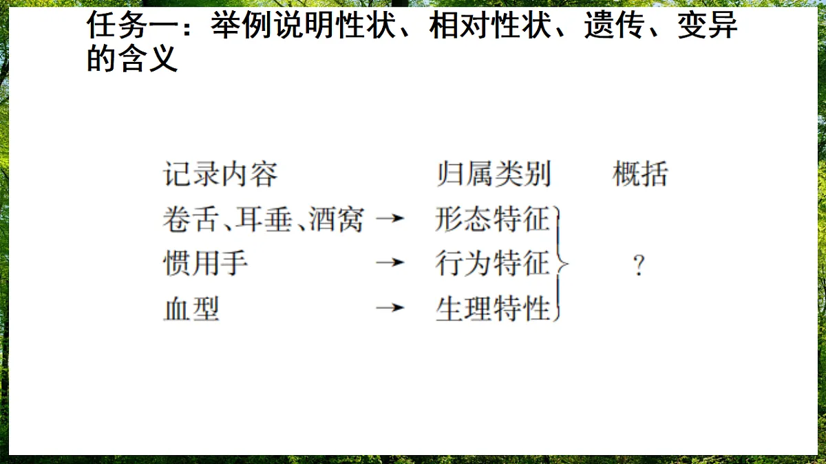 17307141第5页