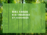 16.2 性状遗传的物质基础（课件）-2025--2026学年北师版（2024）生物八年级上册