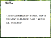 16.3 性状遗传有一定的规律性 第2课时 （课件）-2025--2026学年北师版（2024）生物八年级上册