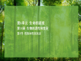 16.4 性别和性别决定（课件）-2025--2026学年北师版（2024）生物八年级上册