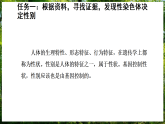 16.4 性别和性别决定（课件）-2025--2026学年北师版（2024）生物八年级上册